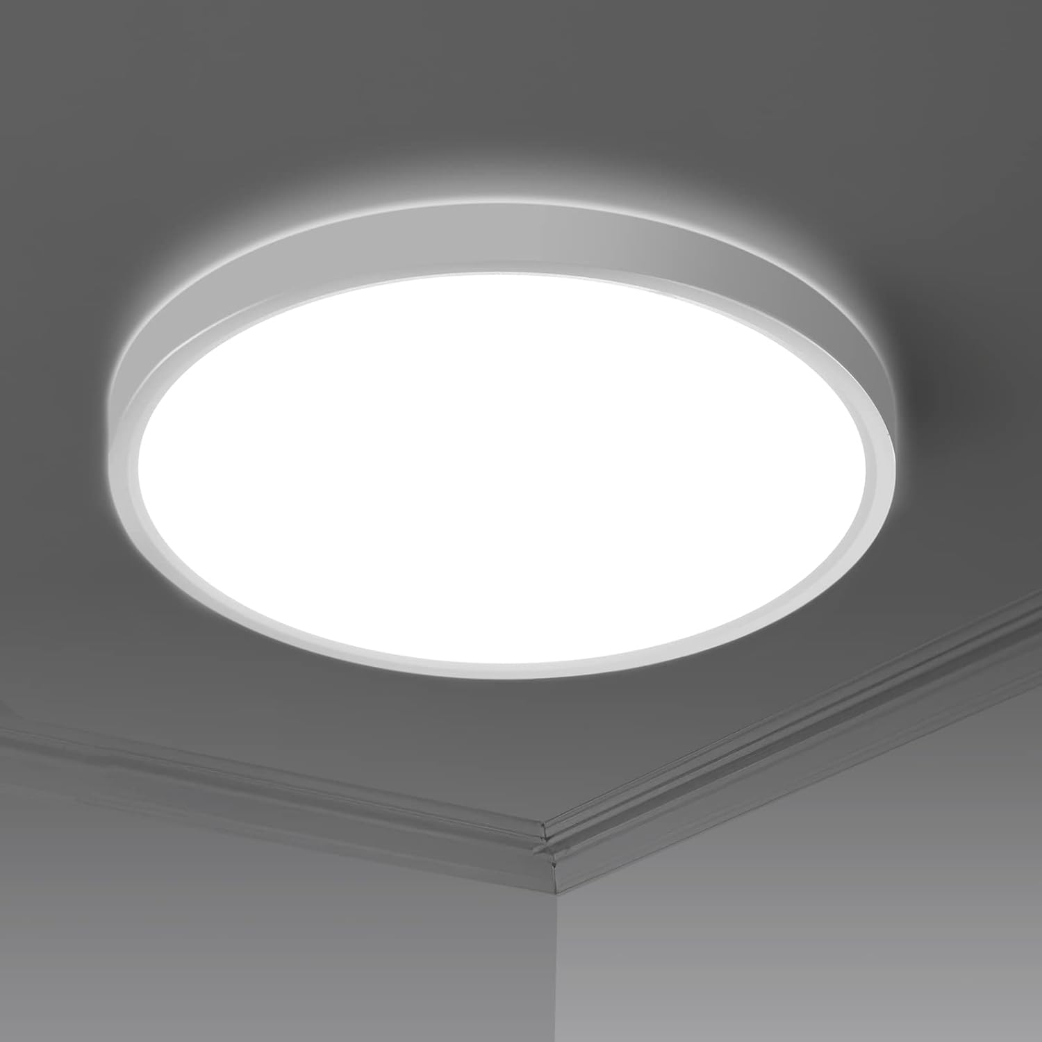 24W Flush Mount Ceiling Light, Low Profile 11.7 Inch Round 2300LM 5000K Daylight White