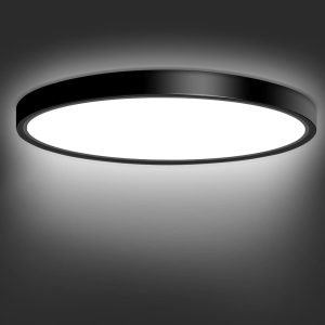 24W Flush Mount LED Ceiling Light Fixture,  11.7 Inch 5000K Daylight Ultra-Thin Round Modern Black